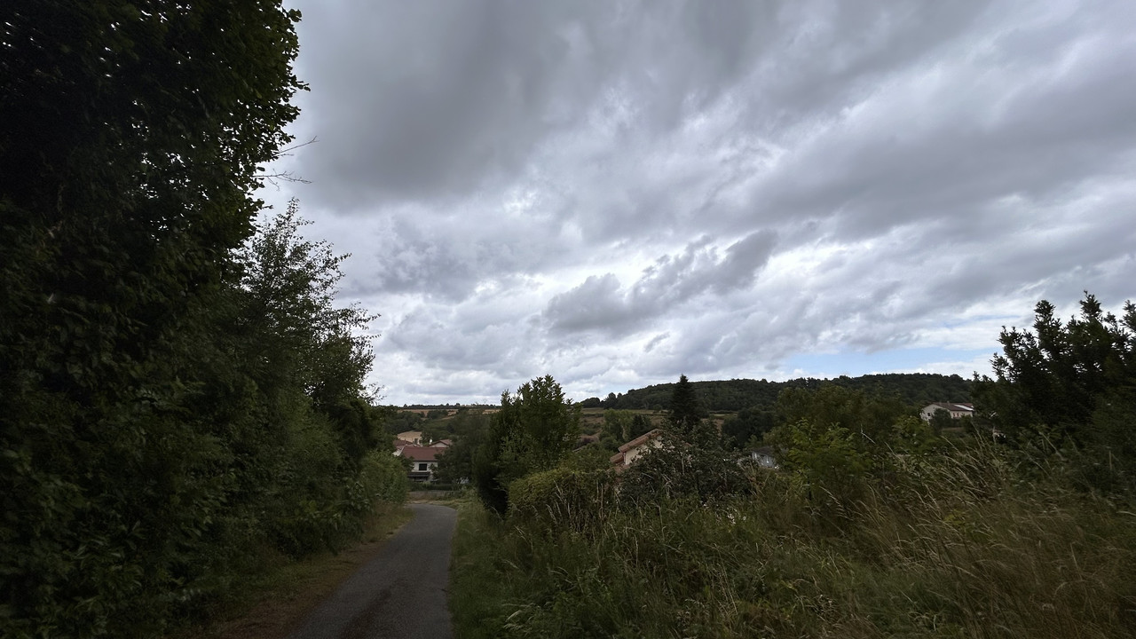 IMG-1831.jpg