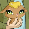 408-Pet-Icon
