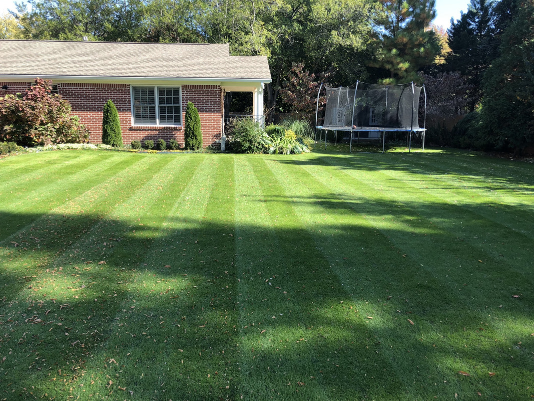 8E095152-6153-4F9A-8FEF-F40E82AFAD11