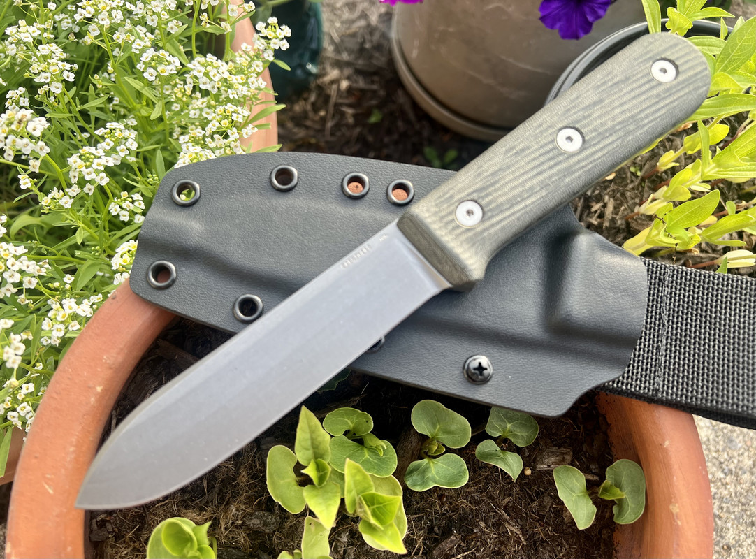 90D240E3-382E-4149-ACC2-257ABBAEB94F