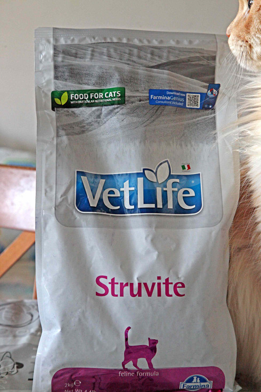_struvite