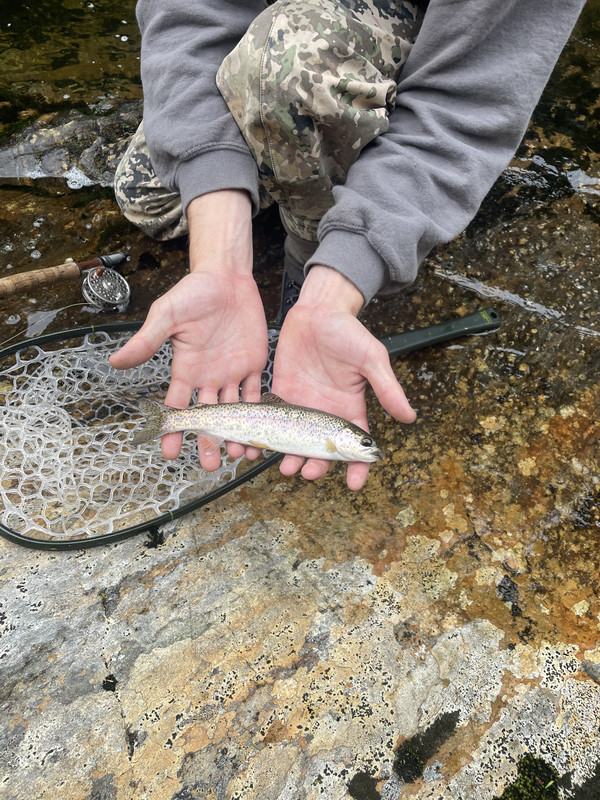 5EC5F3A9-1908-447A-9447-618790B506D1