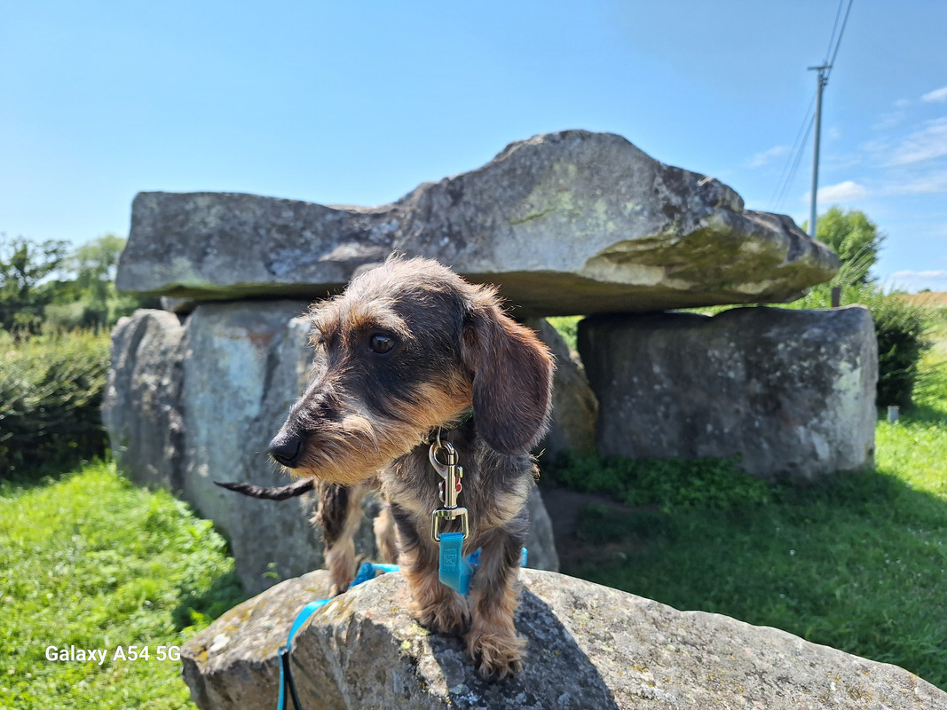 [Image: 20240714-155528.jpg]