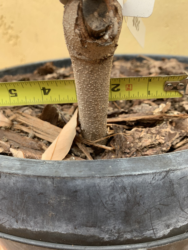 8233BDDC-9B8F-45B5-A62F-2154124EB2F7