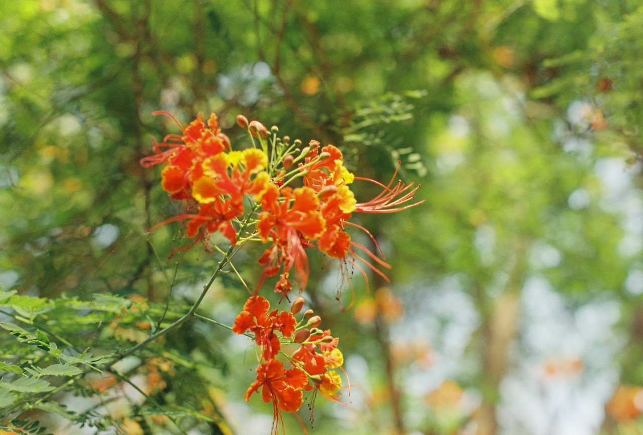 Vision3-250D-Spot-07