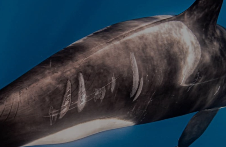 [Imagen: Captura-de-pantalla-2025-12-29-114006.png]