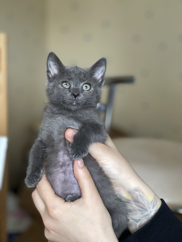 64969C92-2FD9-4B1A-9BD7-47DC0547F991