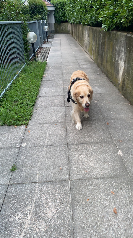 7F668003-D01A-4491-8E5B-4D136899EB47