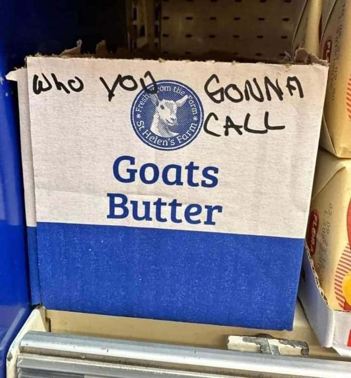 [Image: 462558780-589769216942565-175544017311633670-n.jpg]