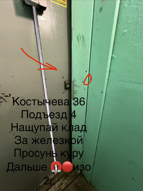 IMG 1550