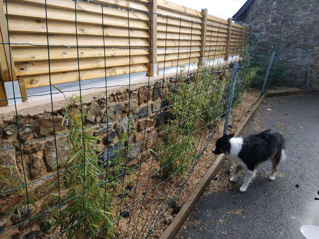 IMG_20211202_133028 (1)