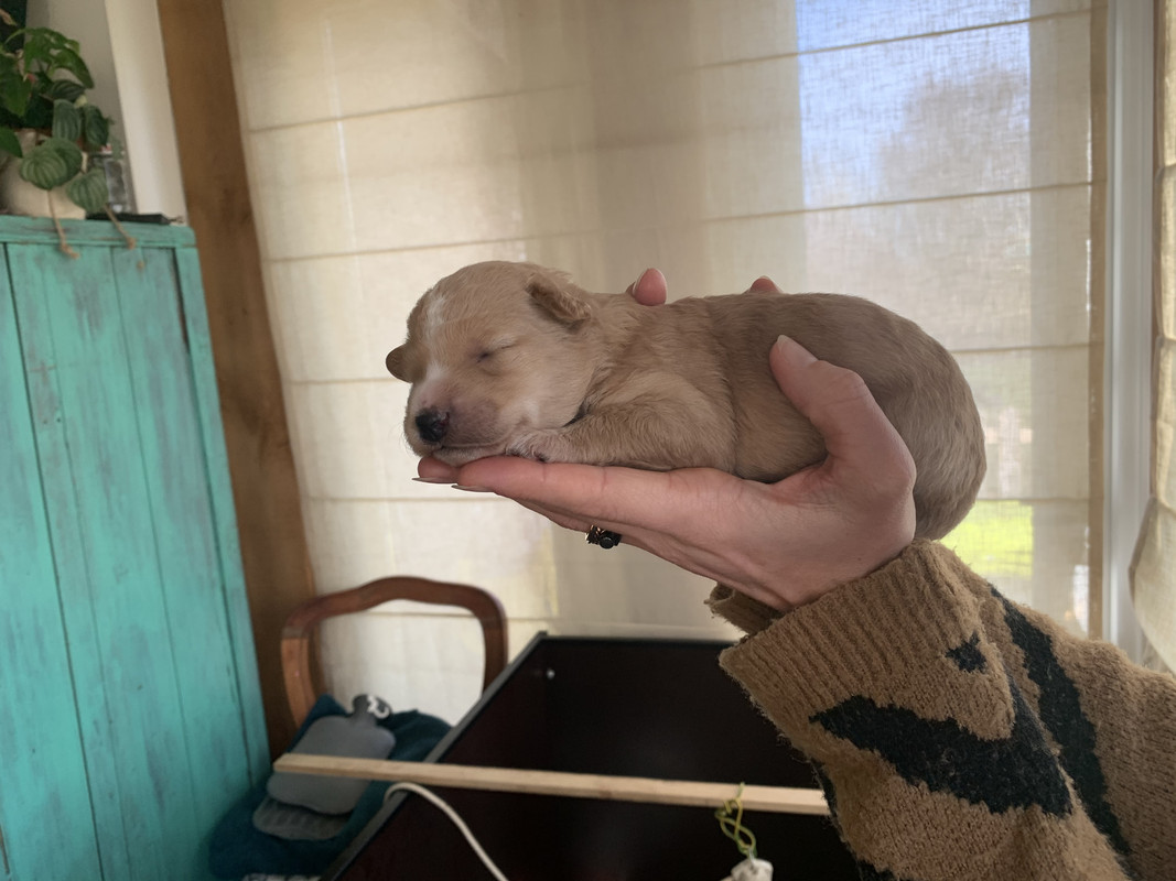 2851AF25-15F8-4B27-8108-A76DC97BB316