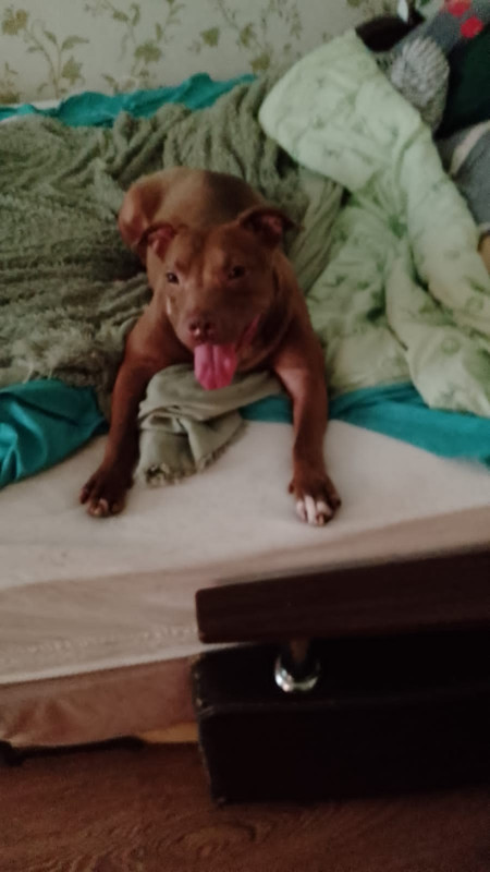 BE2C5452-F7CF-4396-AB4D-F68B05EE7899