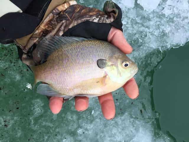 1D66BFC8-9B1D-4650-9808-9367AEB85A7F