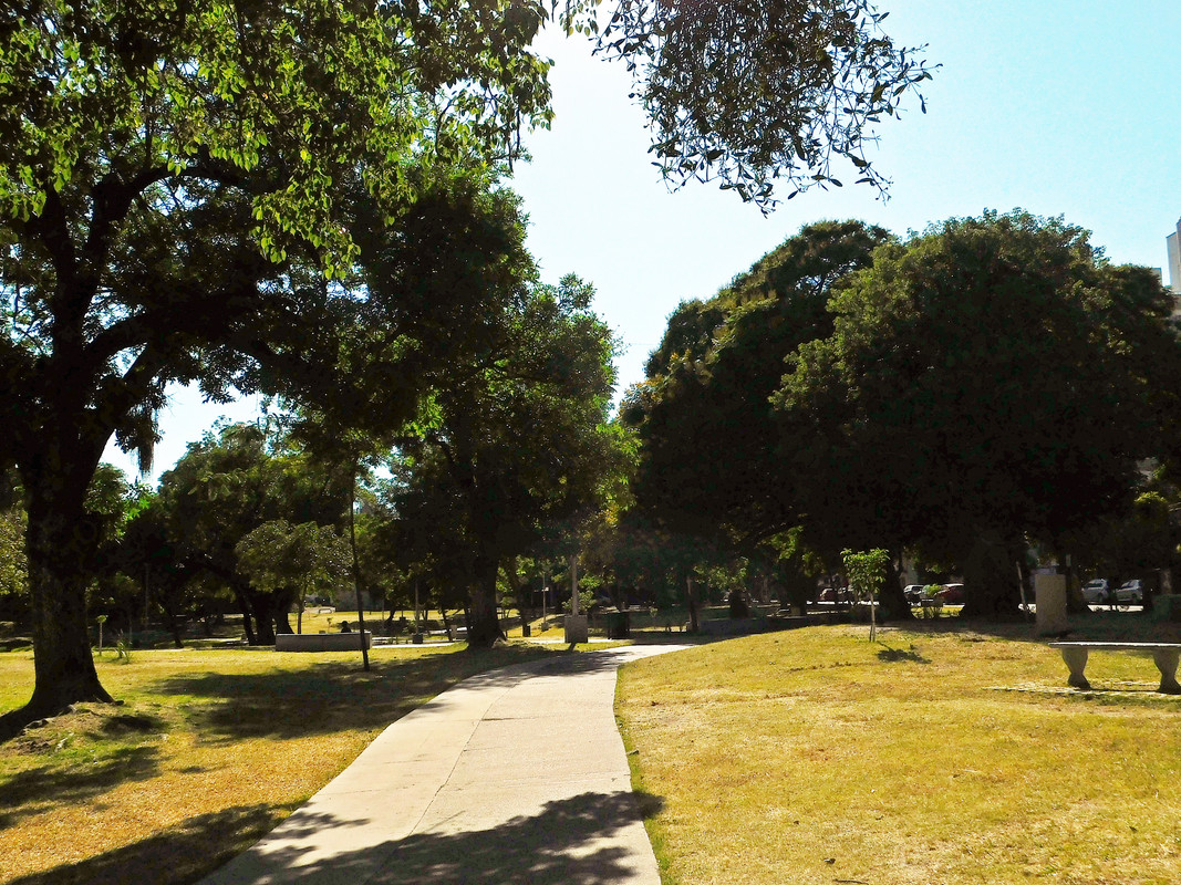 DSCN0539.jpg