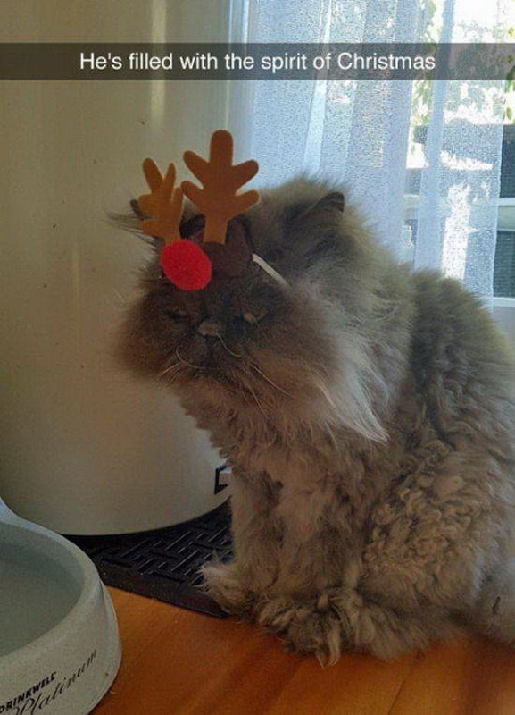 thumbs-EMOK-Picdump-691-101.jpg