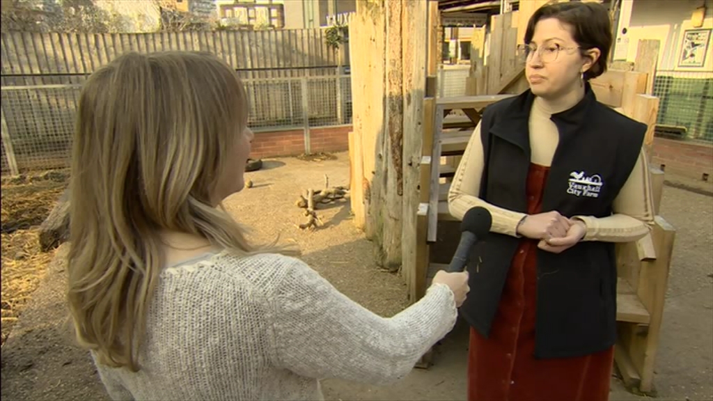 BBC London News_20220324_18301900.ts_snapshot_24.51.198