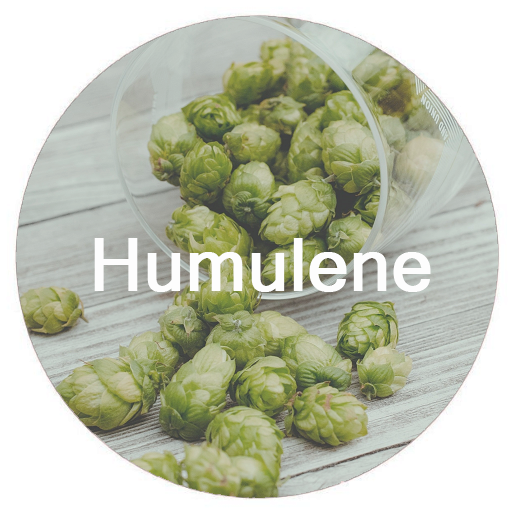 Humulene.png