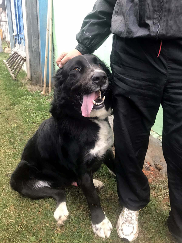 изображение_viber_2019-11-16_22-25-51