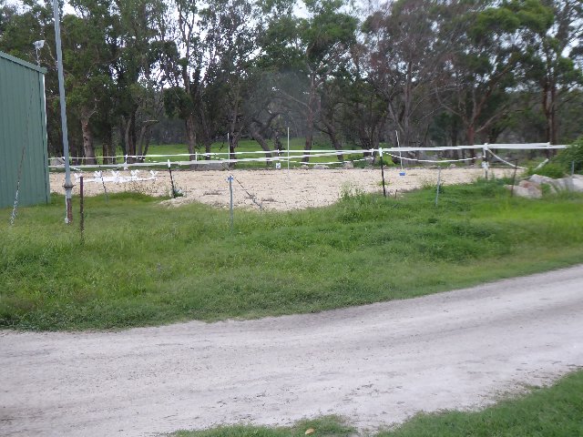P1010961