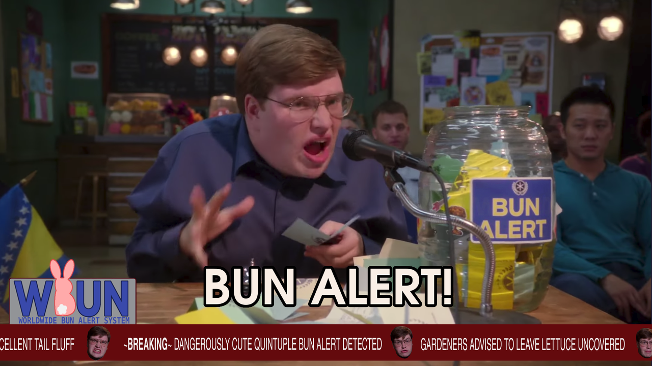 bun-alert-quintuple.png