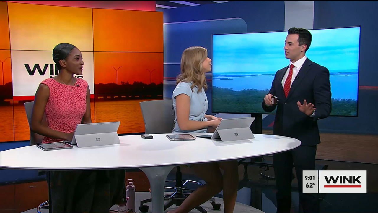 01.28 - 14.00.00 - WINK News at 9 00AM  ᴺᵉʷ. Morning news.ts_snapshot_00.07.21.550