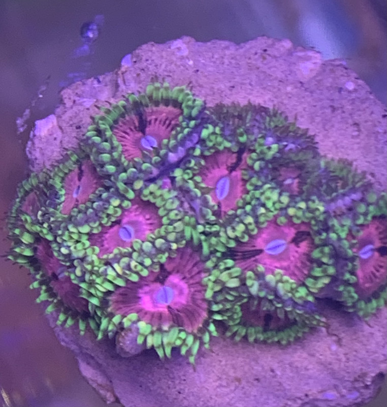 EB53C960-D9AE-4F18-AE4B-D83B1E73A051