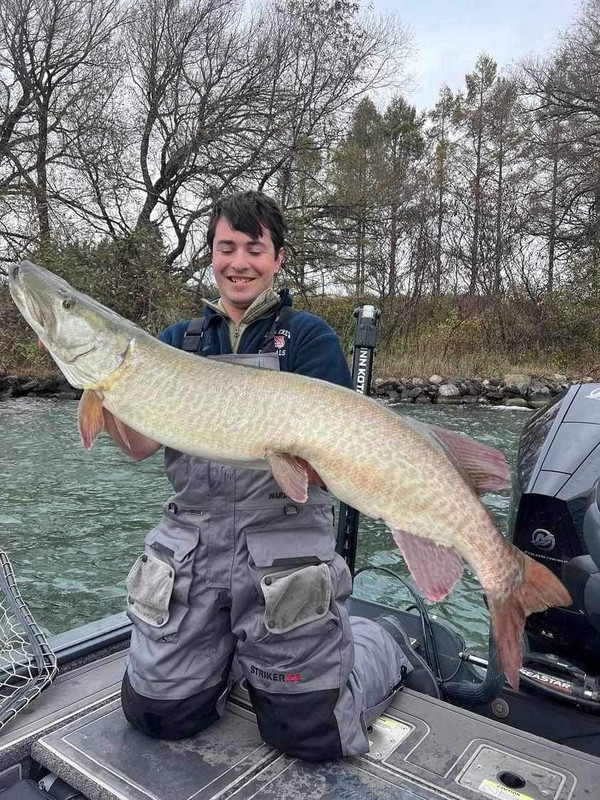 Facebook_creation_185849594