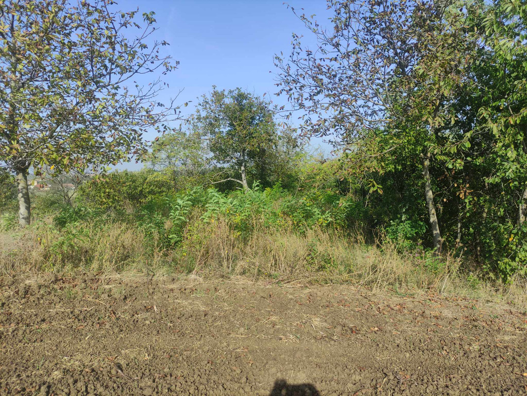 385537256_2485512894986162_4591395497207080984_n