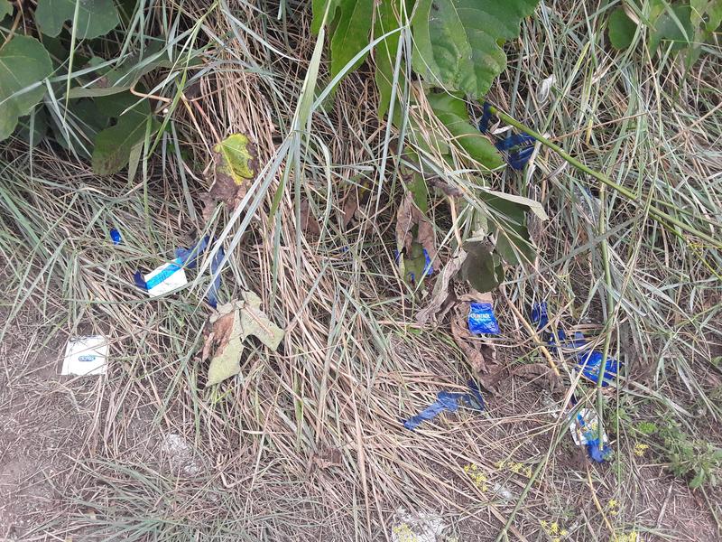 Italia y sus pueblos-2018/2019/2023 - Blogs de Italia - NAPOLES Y MONTE VESUBIO-21-9-2018 (32)