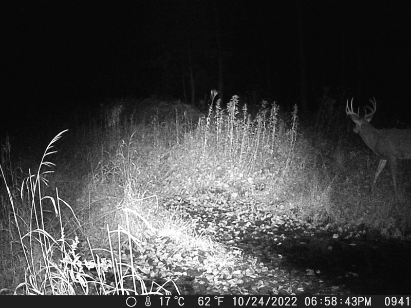 596AF351-5DB0-4C8D-AB97-6B3BEC83CA87