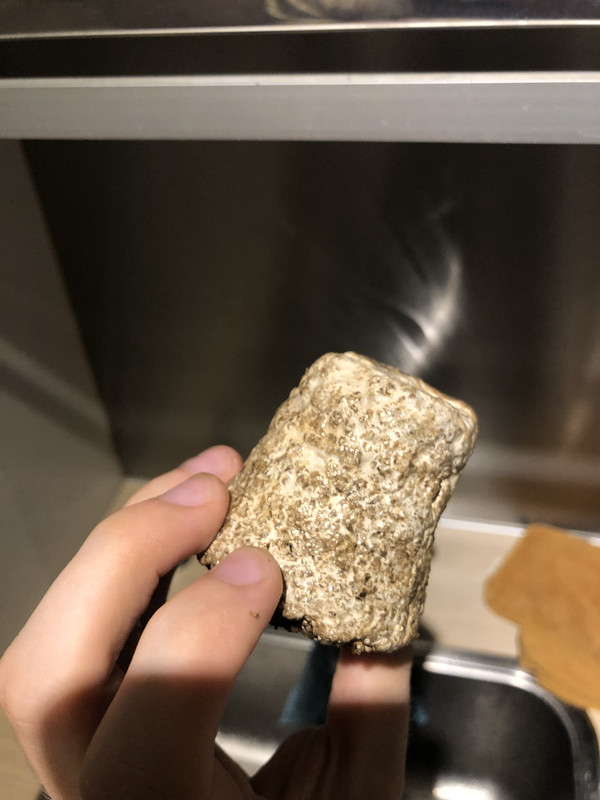 F3599F9F-9318-4732-8D0D-0A49CEF7275D