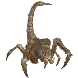 Пауки самцы