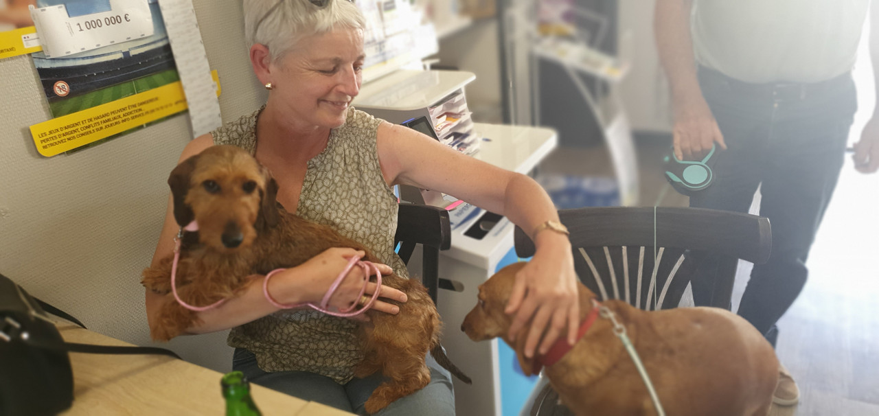 [Image: 20230810-165021.jpg]