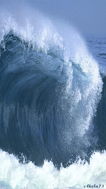 496d79dc922dbb7bdb6abb395d0cd584.gif