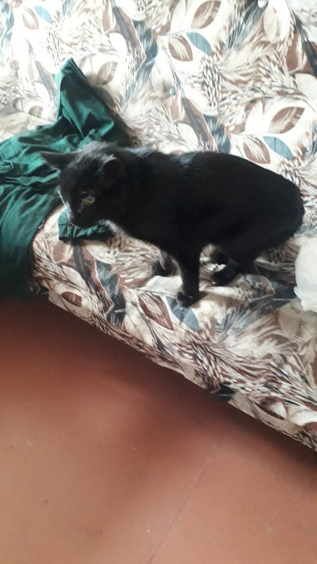 EC54CC50-6559-4ABE-B09D-301FFBA16E9A