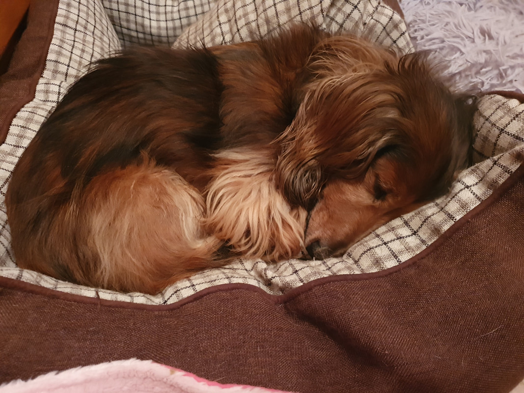 [Image: 20220618-105538.jpg]