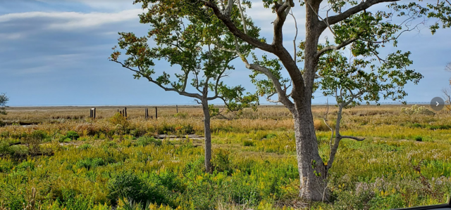 [Image: LA20231109-Hwy90-Lake-Catherine.png]