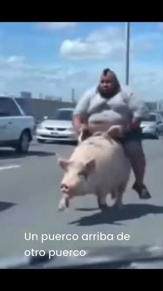 images.jpg