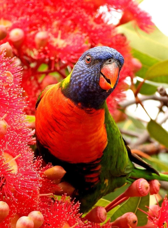 5B4D4D30 C9E0 4E29 8B66 26EBBB566690