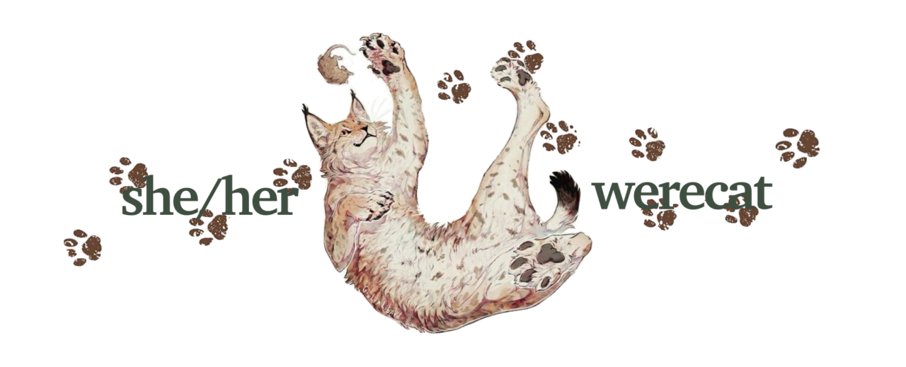 [Image: Untitled83-20260824092602.png]