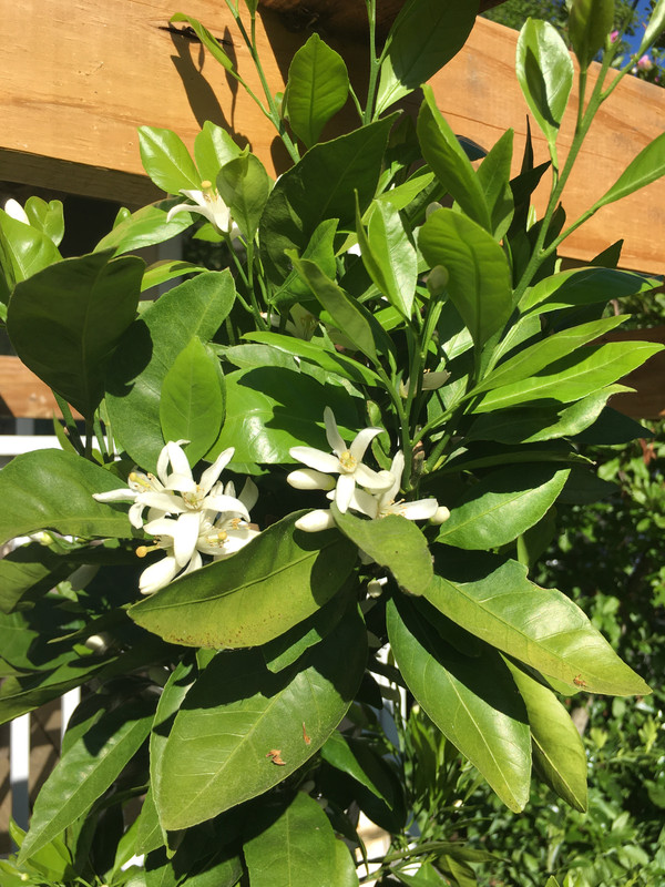 38EE8B77-0BCE-4B62-9939-81F449E90E83