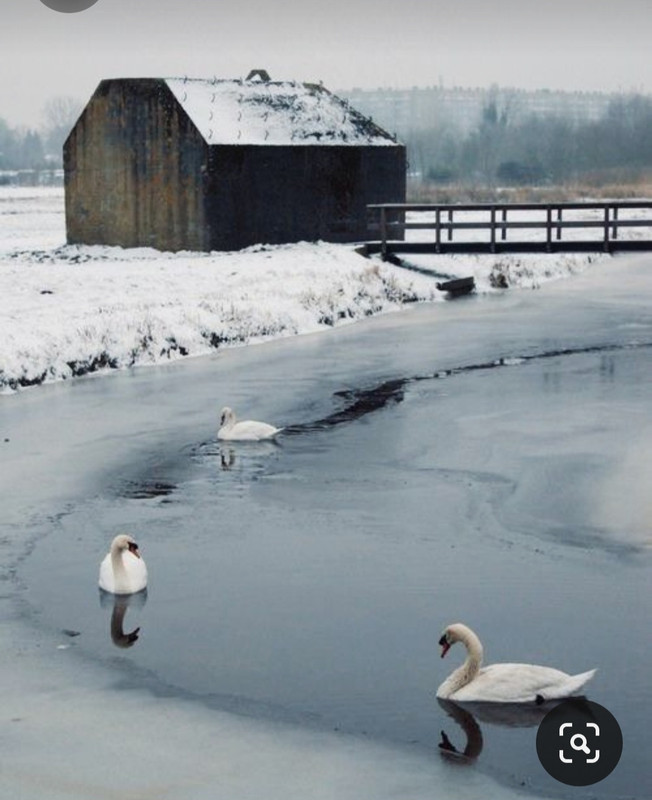 Screenshot_20231101_233655_Pinterest