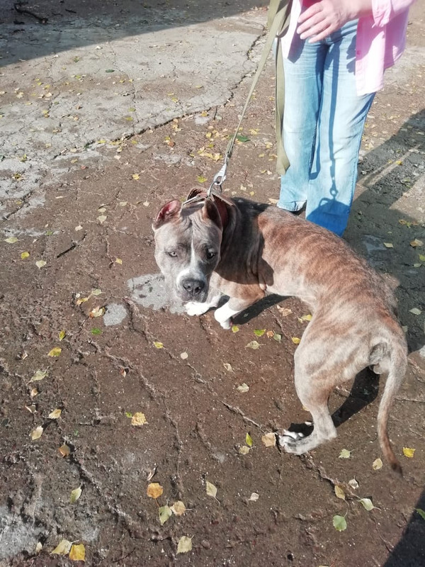 WhatsApp Image 2022-08-30 at 18.08.27 (2)