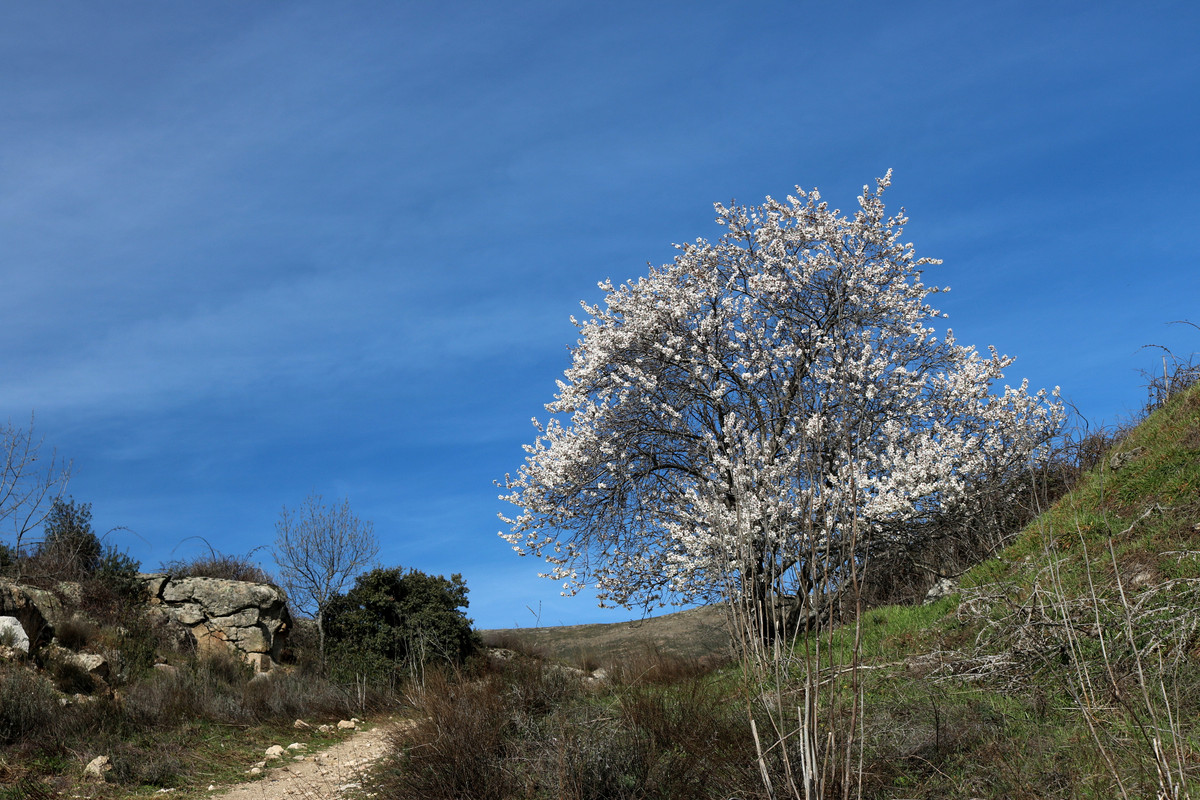 Navalafuente-Cancho-09