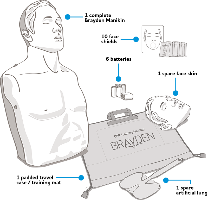 [Imagine: brayden-diagram.png]