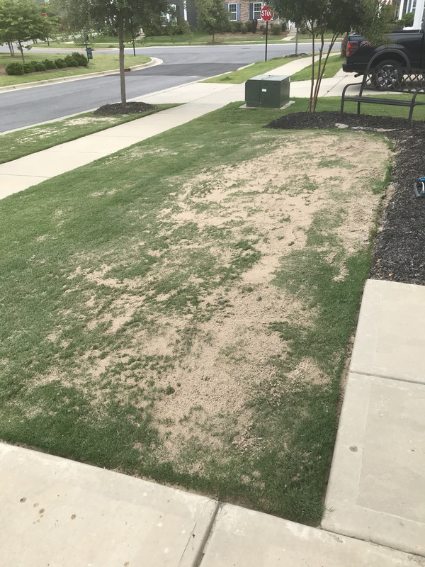 BA9515FB-D388-44D8-87CC-1613904FBAD0