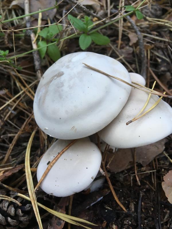 A2F03D57-04D1-4775-9A36-B4712F1118E7