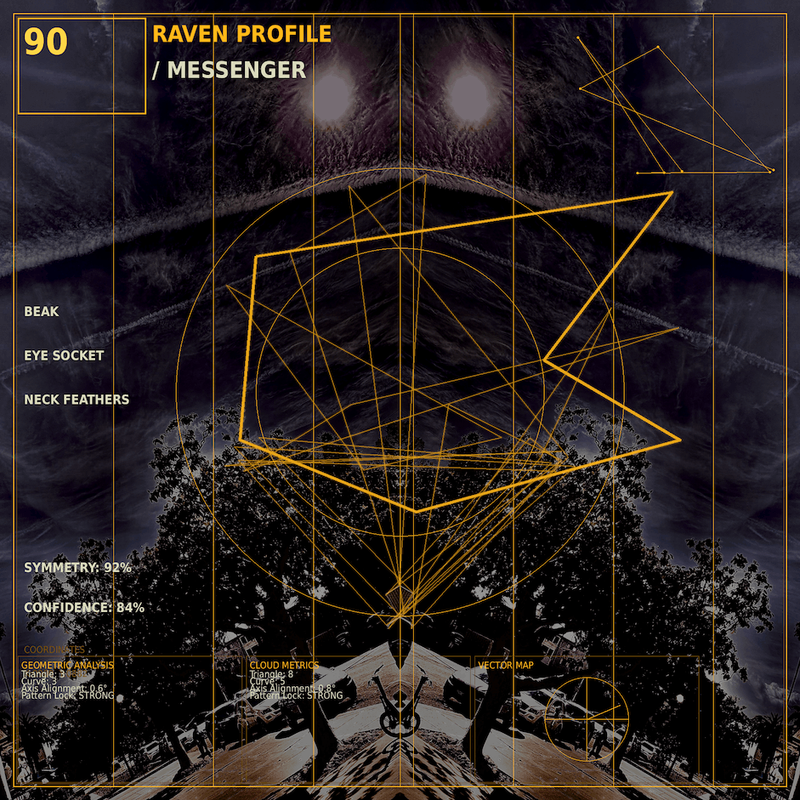 Raven profile