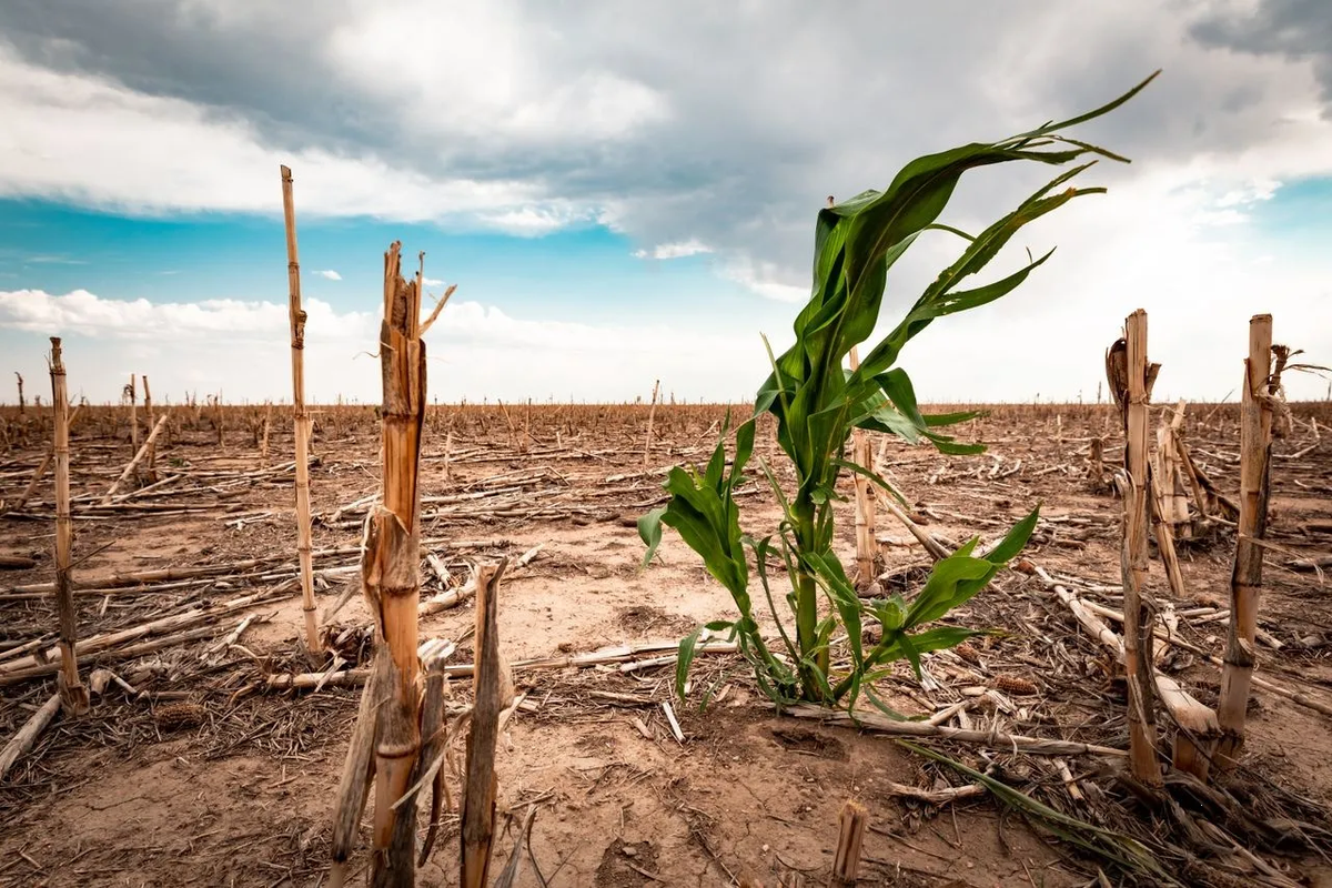 Analizará CIDH desplazamientos forzados por cambio climático en Latinoamérica